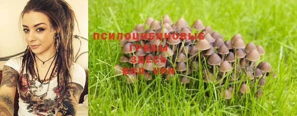 дурь Волосово