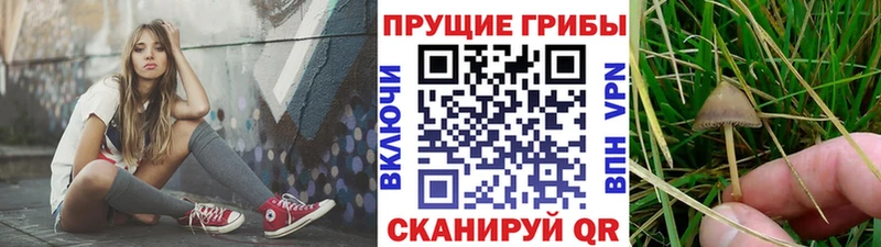 Псилоцибиновые грибы ЛСД  Лобня 